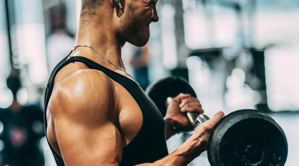 Arm Exercises: Build For Strength Gain & Muscle Growth